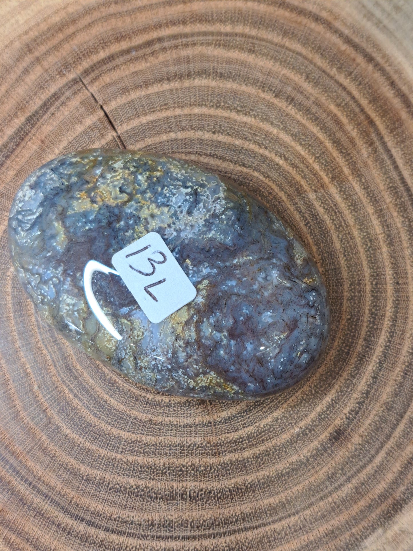 Moss Agate Palm Stones