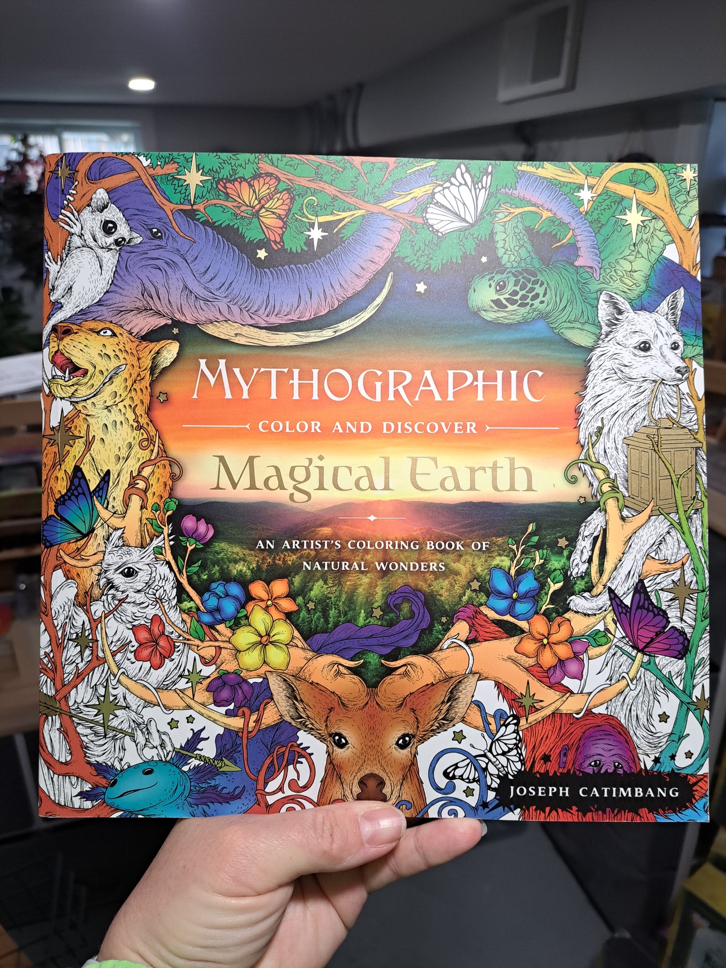 Mythographic Color and Discover Magical Earth: An Artist's Coloring Book of Natural Wonders