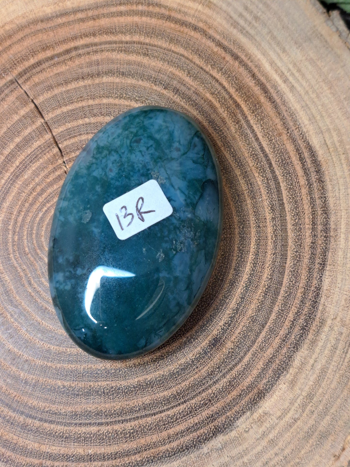 Moss Agate Palm Stones