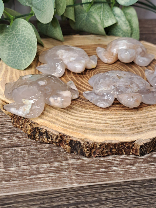 Flower Agate Turtles