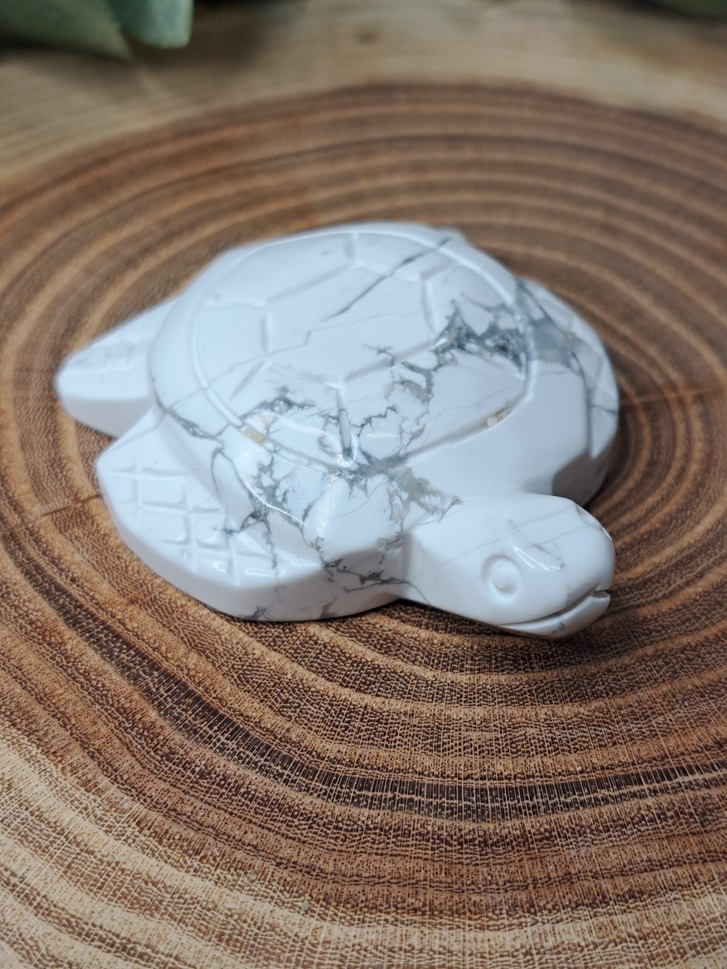 Howlite Turtle Carvings