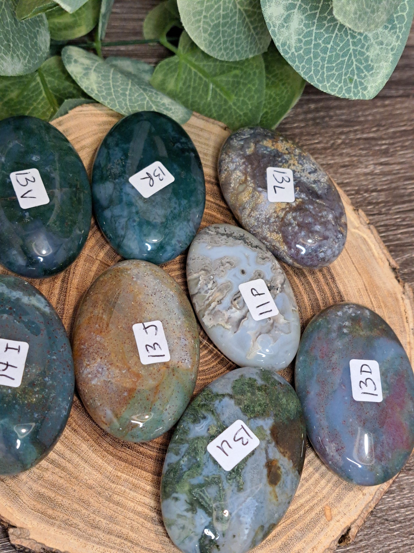 Moss Agate Palm Stones