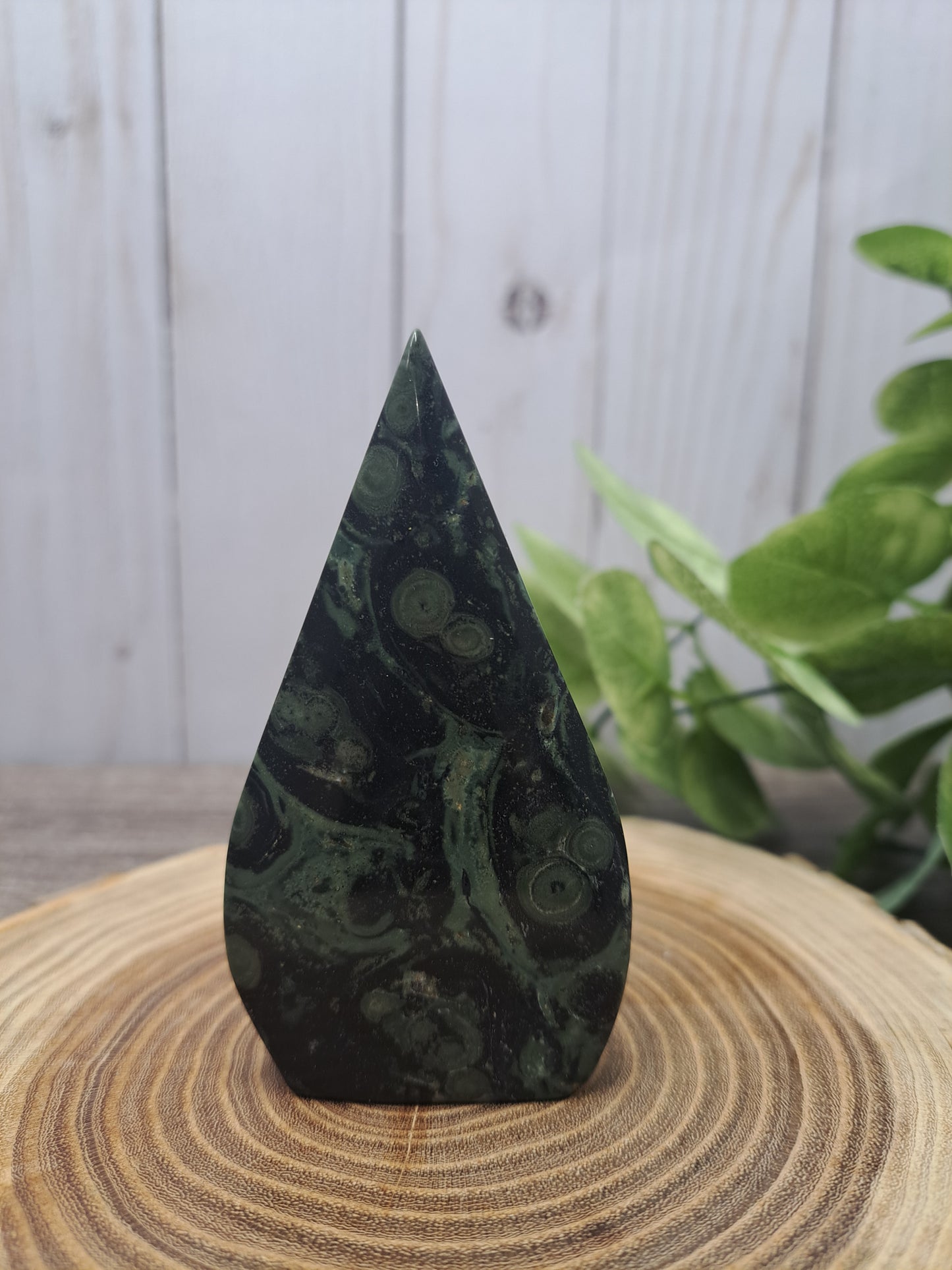 Kambaba Jasper Freeforms