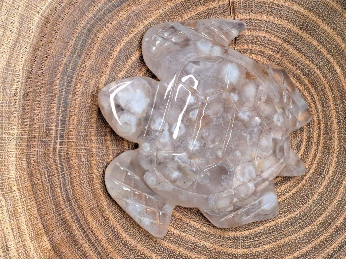 Flower Agate Turtles