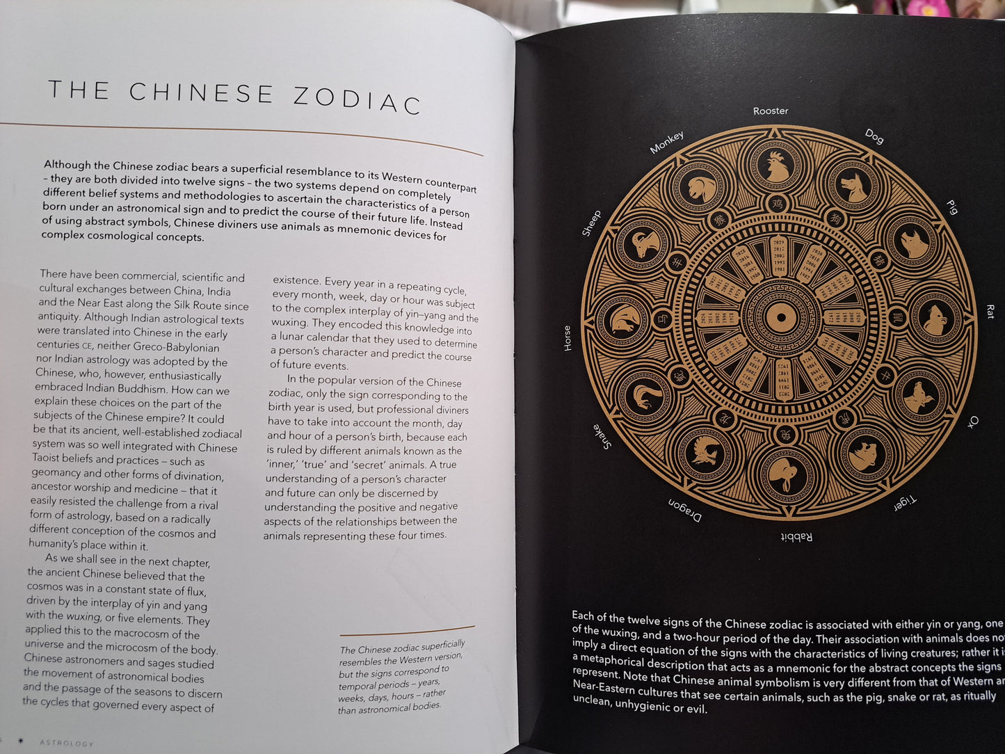 Symbols of the Occult: A Directory of over 500 Signs, Symbols, and Icons