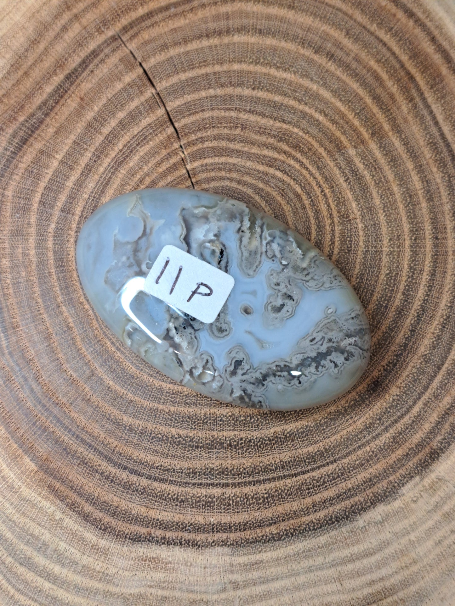 Moss Agate Palm Stones
