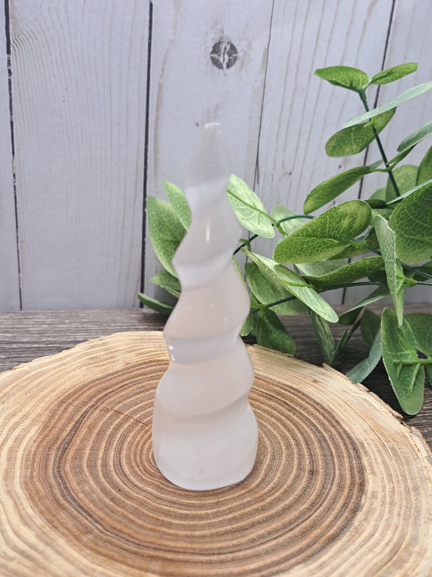 Selenite Spiral Horns