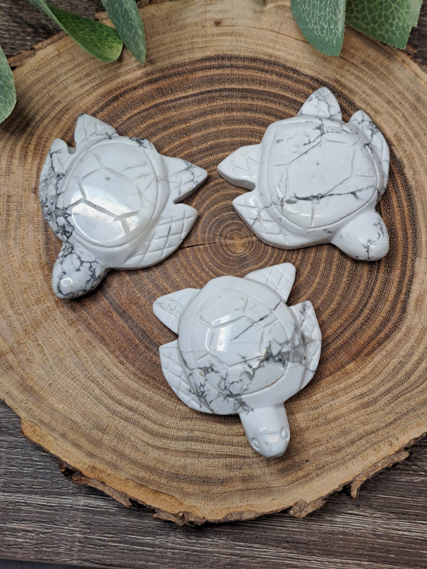 Howlite Turtle Carvings