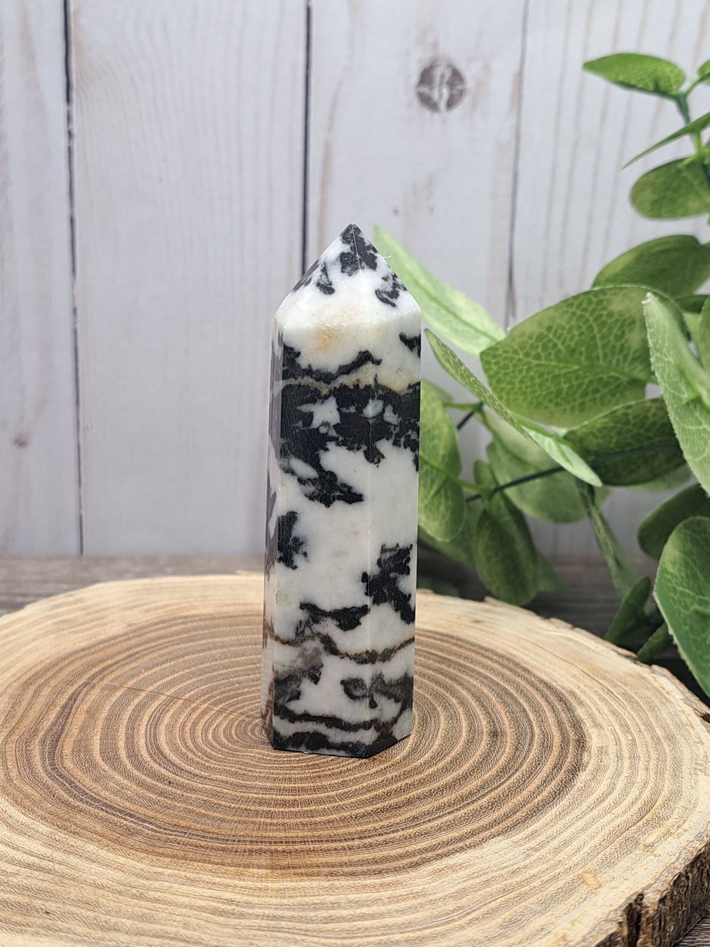 Zebra Tower