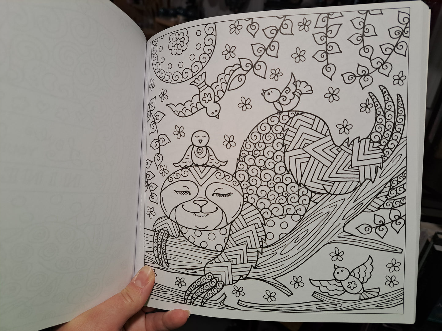 Sleepy Animals: Furry Friends to Color & Display
