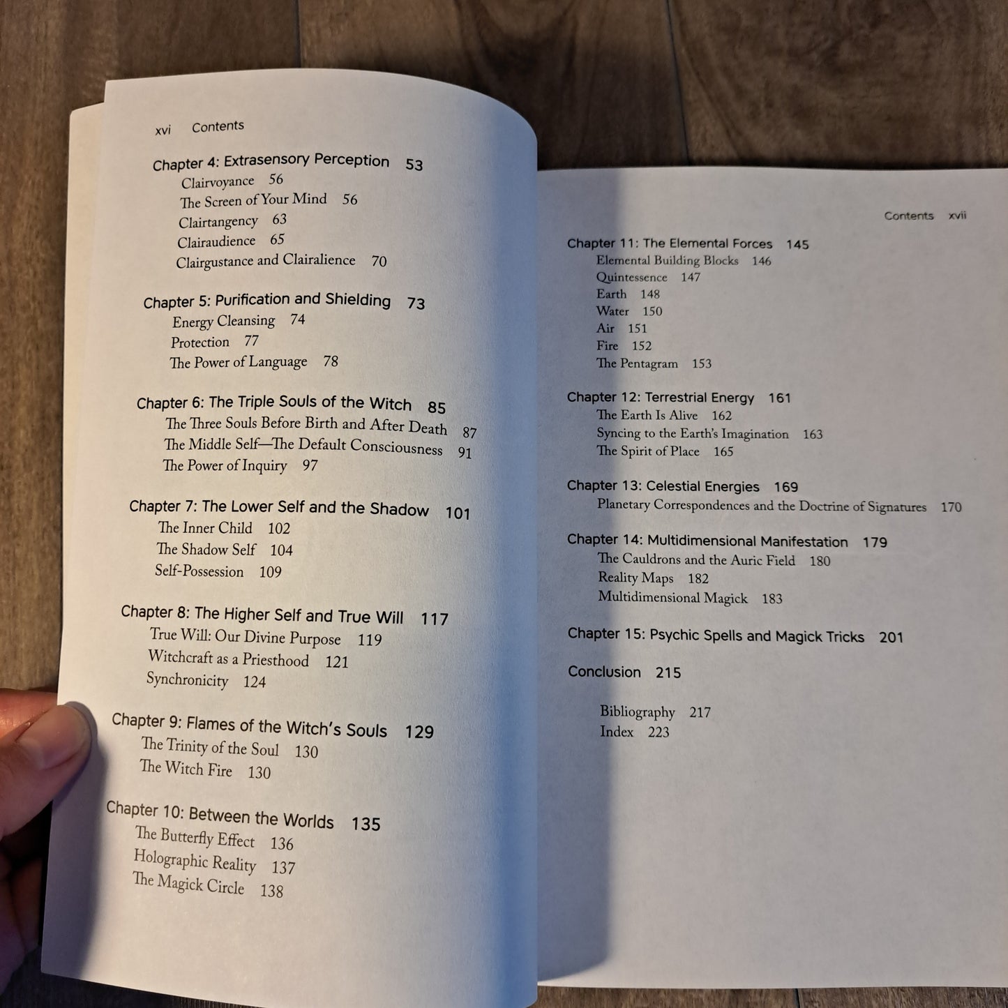Psychic Witch: A Metaphysical Guide to Meditation, Magick & Manifestation