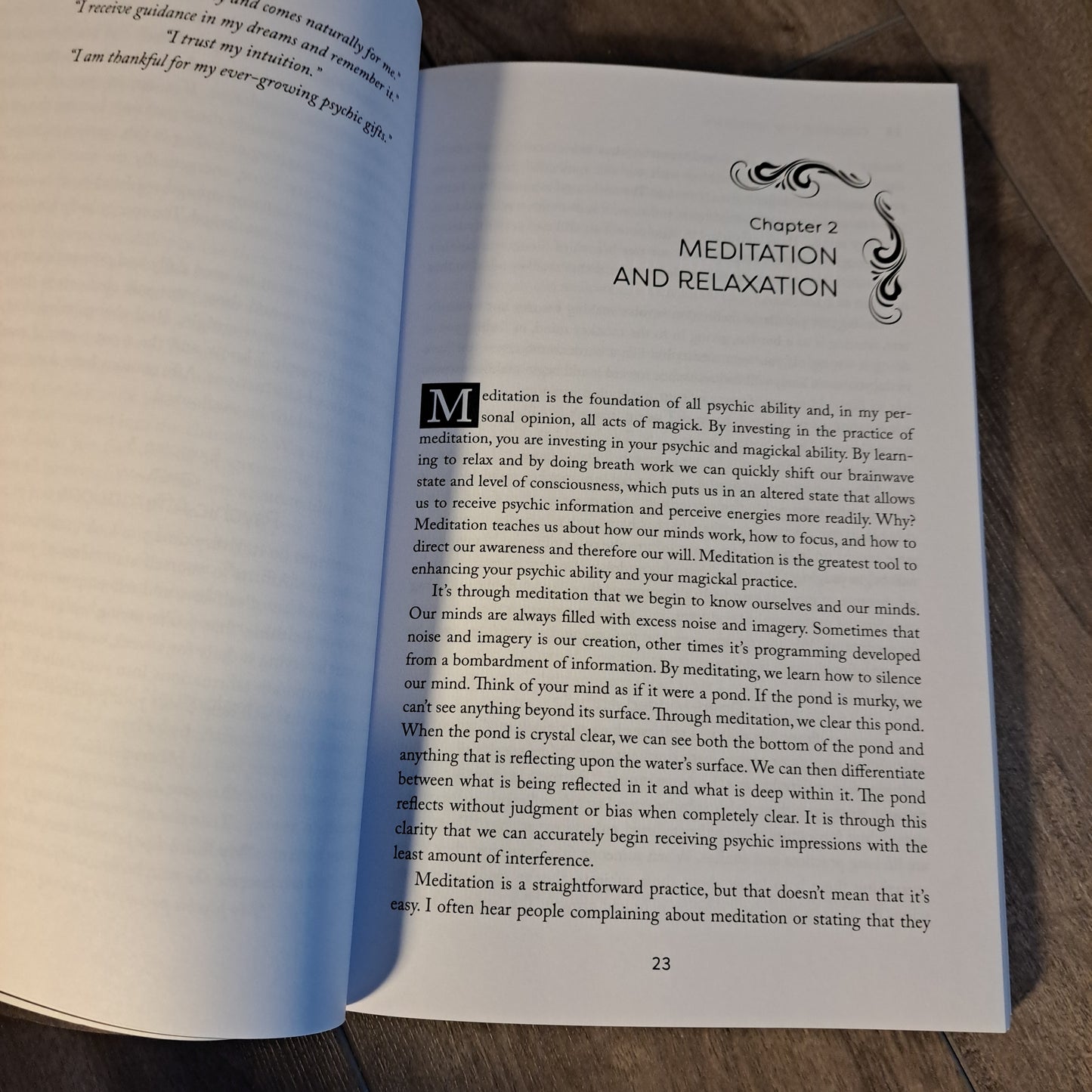 Psychic Witch: A Metaphysical Guide to Meditation, Magick & Manifestation