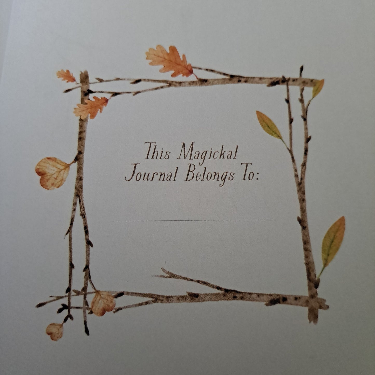 The Mindful Witch: A Daily Journal for Manifesting a Truly Magickal Life
