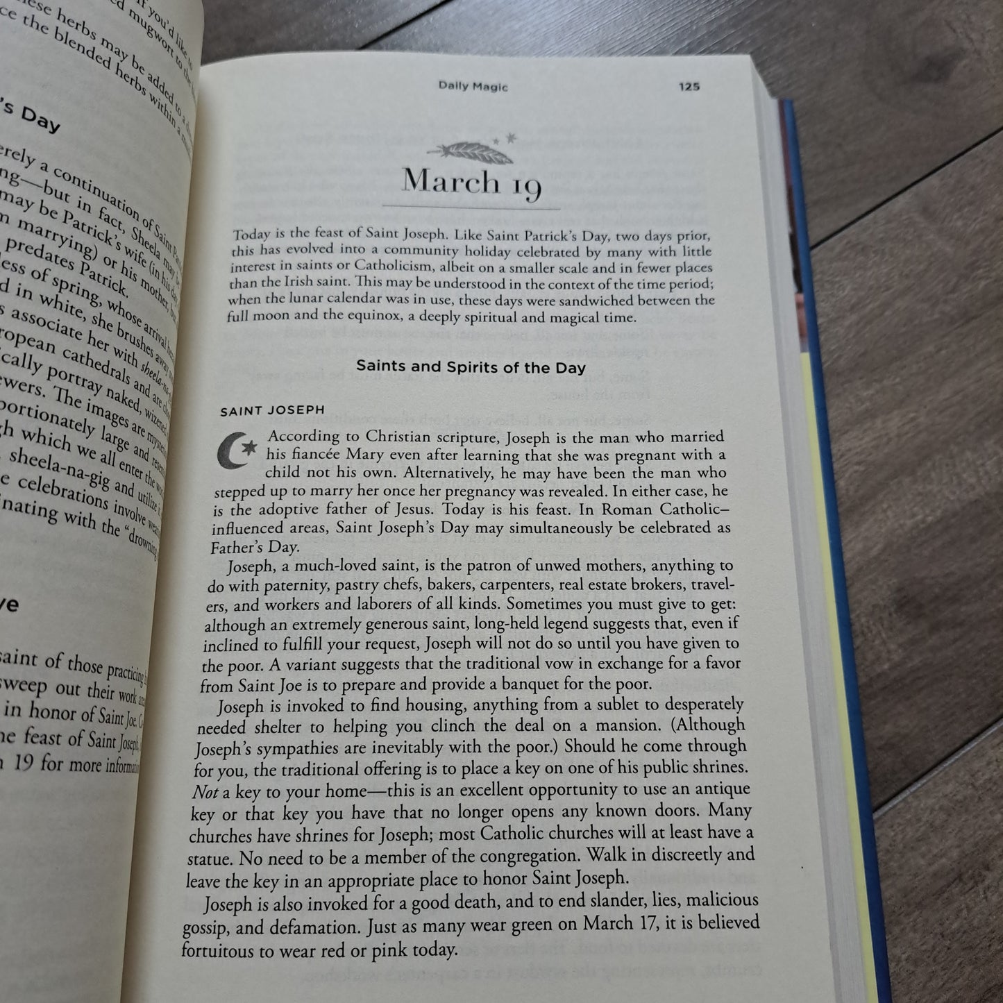 Daily Magic: Spells and Rituals for Making the Whole Year Magical