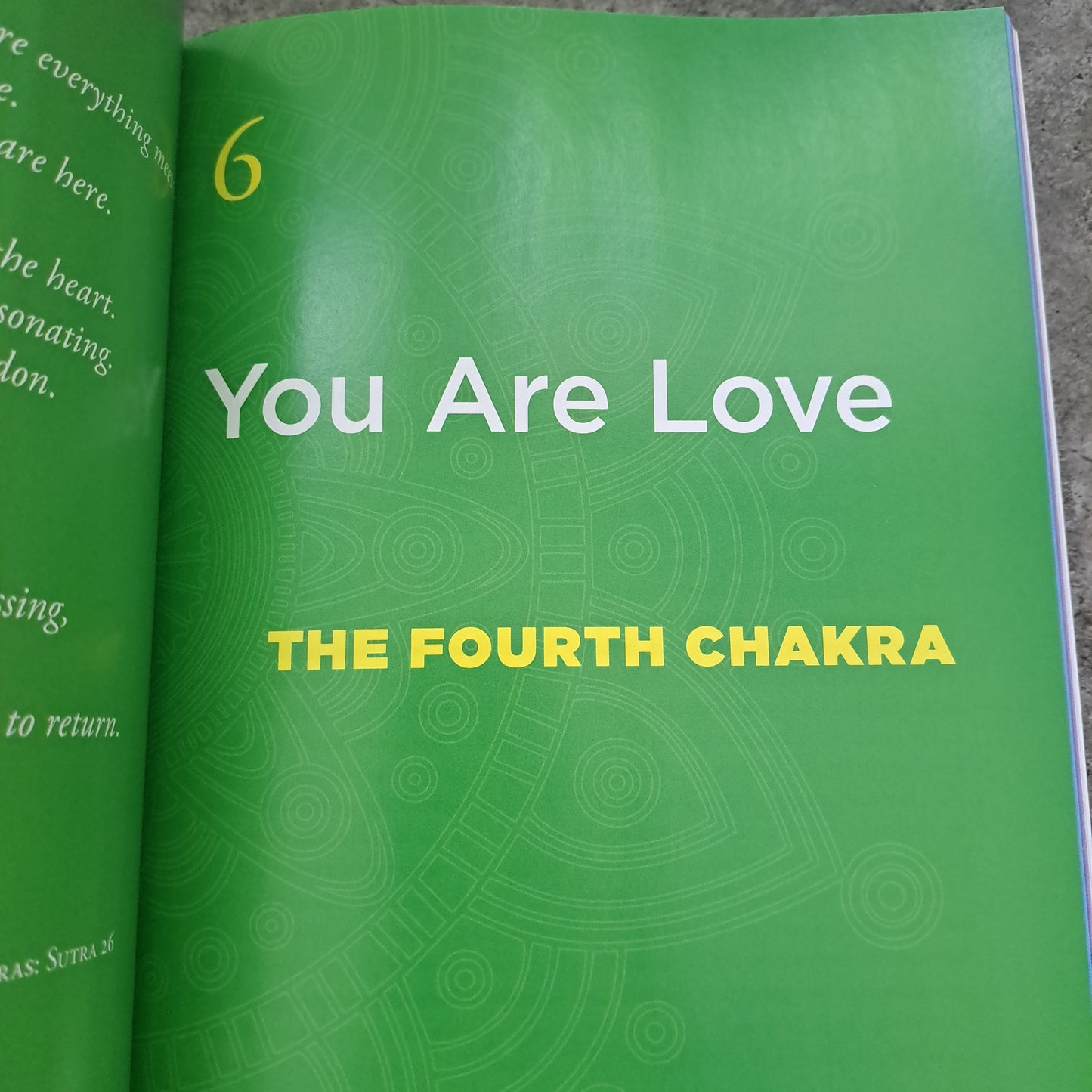 Chakra Rituals: Awakening the Wild Woman Within
