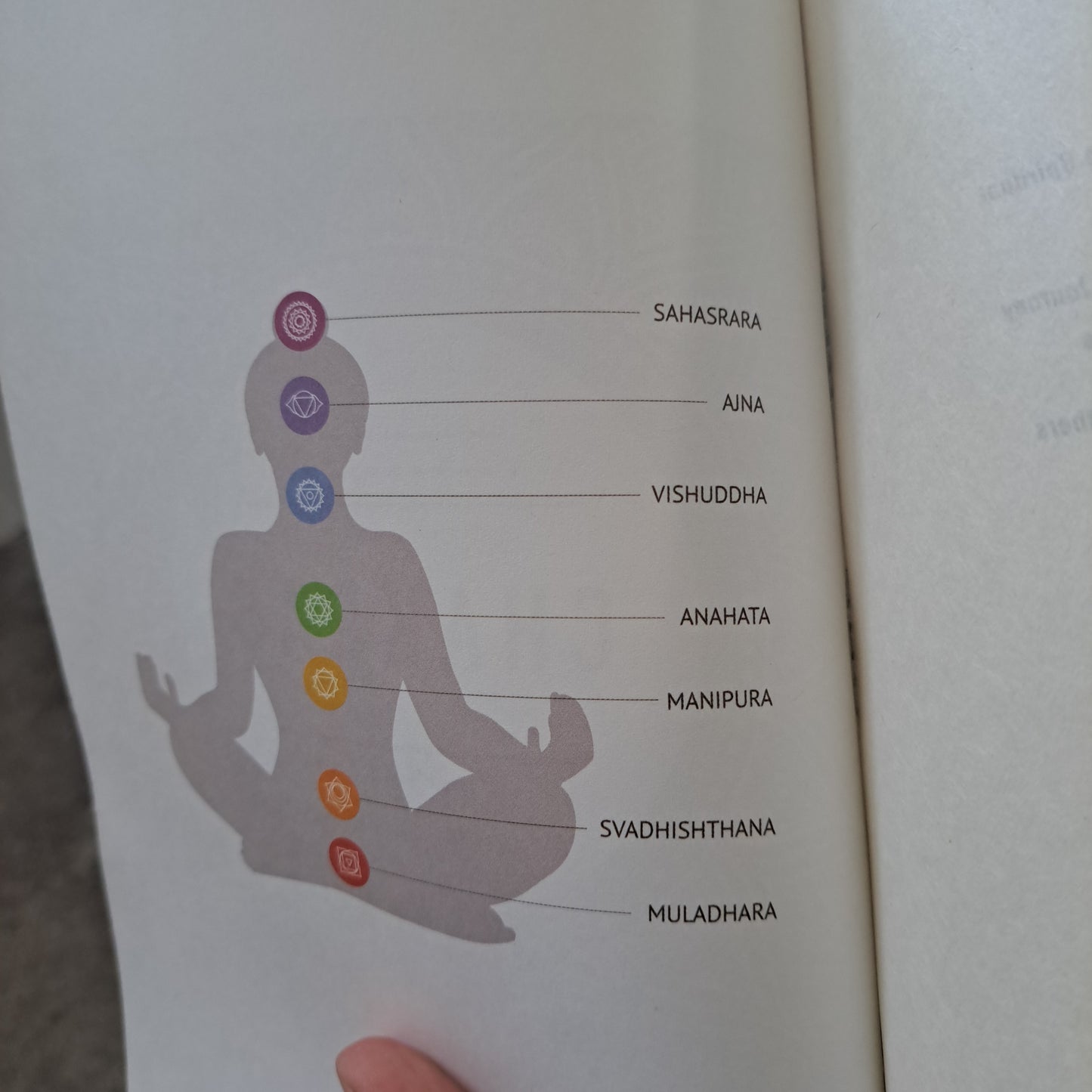 Chakras: A Start Here Guide For Beginners