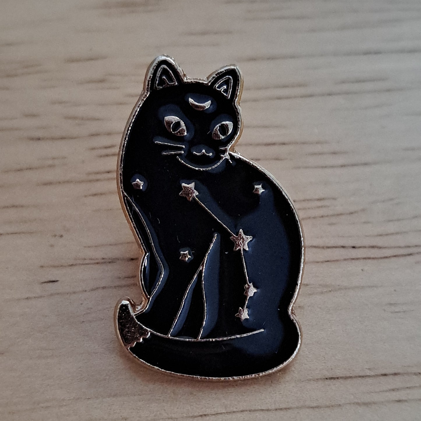 Cat with Constellations Sitting Pin