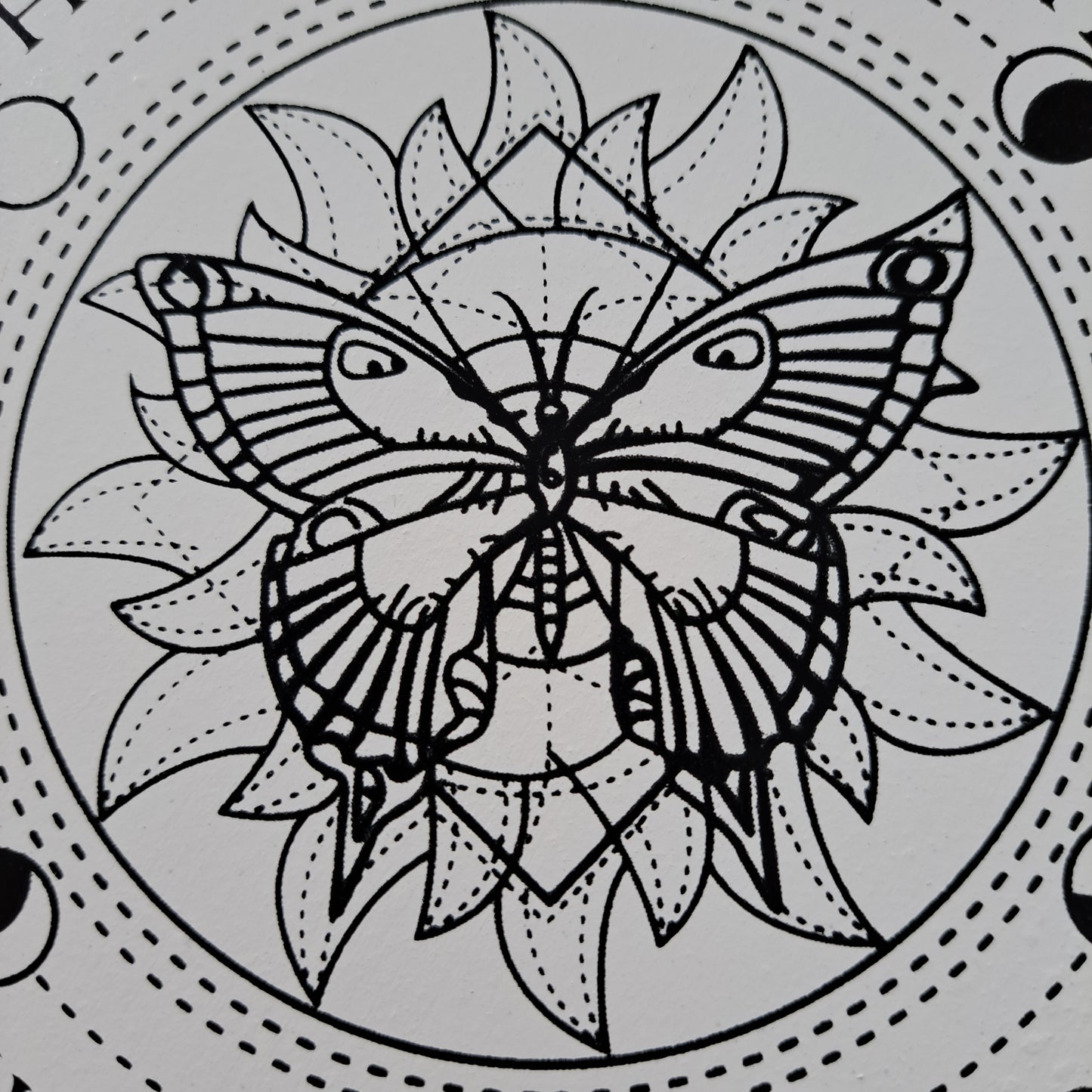 Pendulum Board - Butterfly White