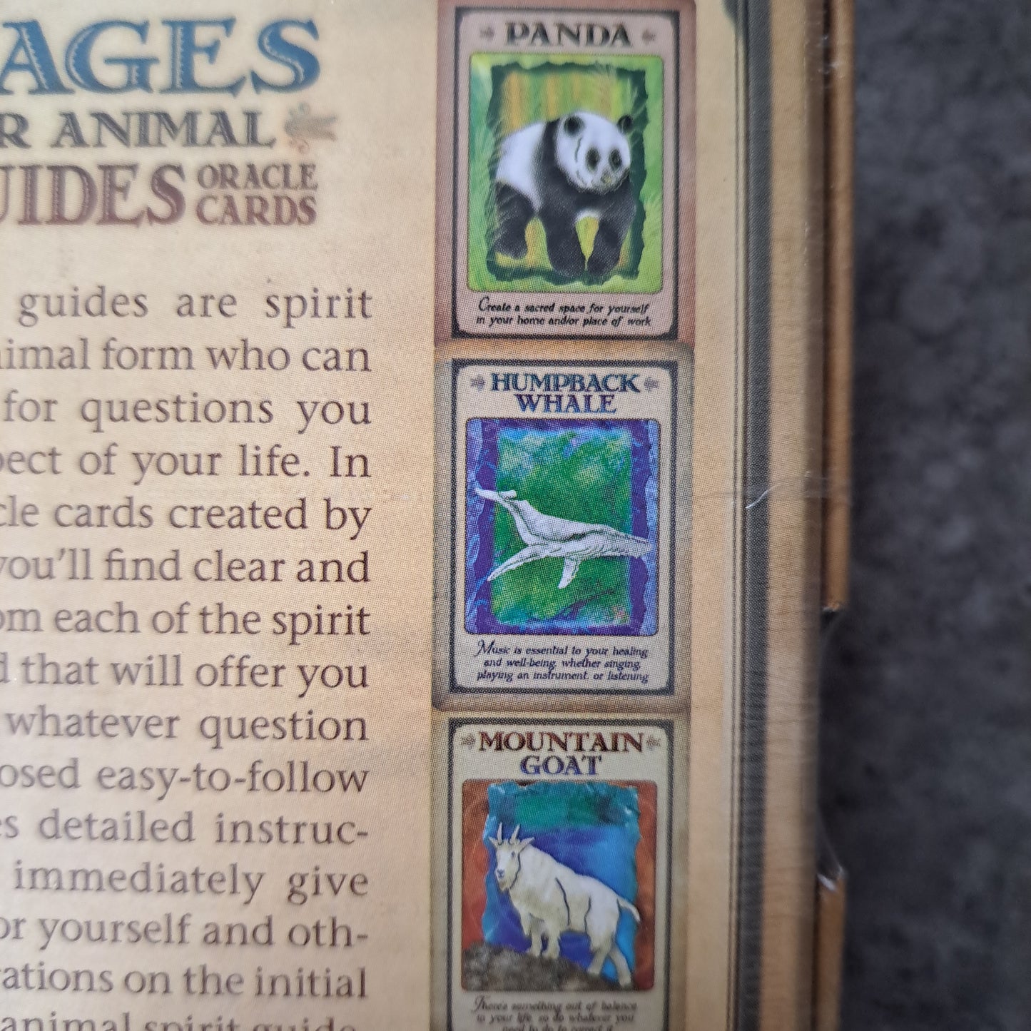 Messages From Your Animal Spirit Guides Oracle - 44 Cards and Guidebook