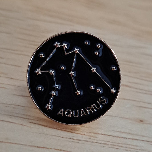 Aquarius Astrology Pin