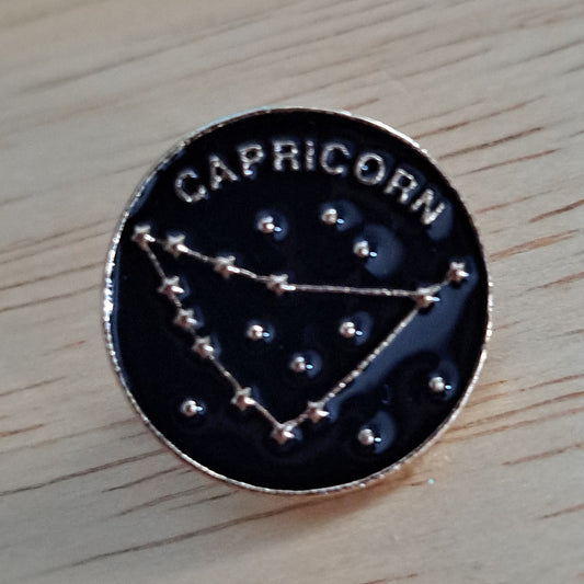 Capricorn Astrology Pin