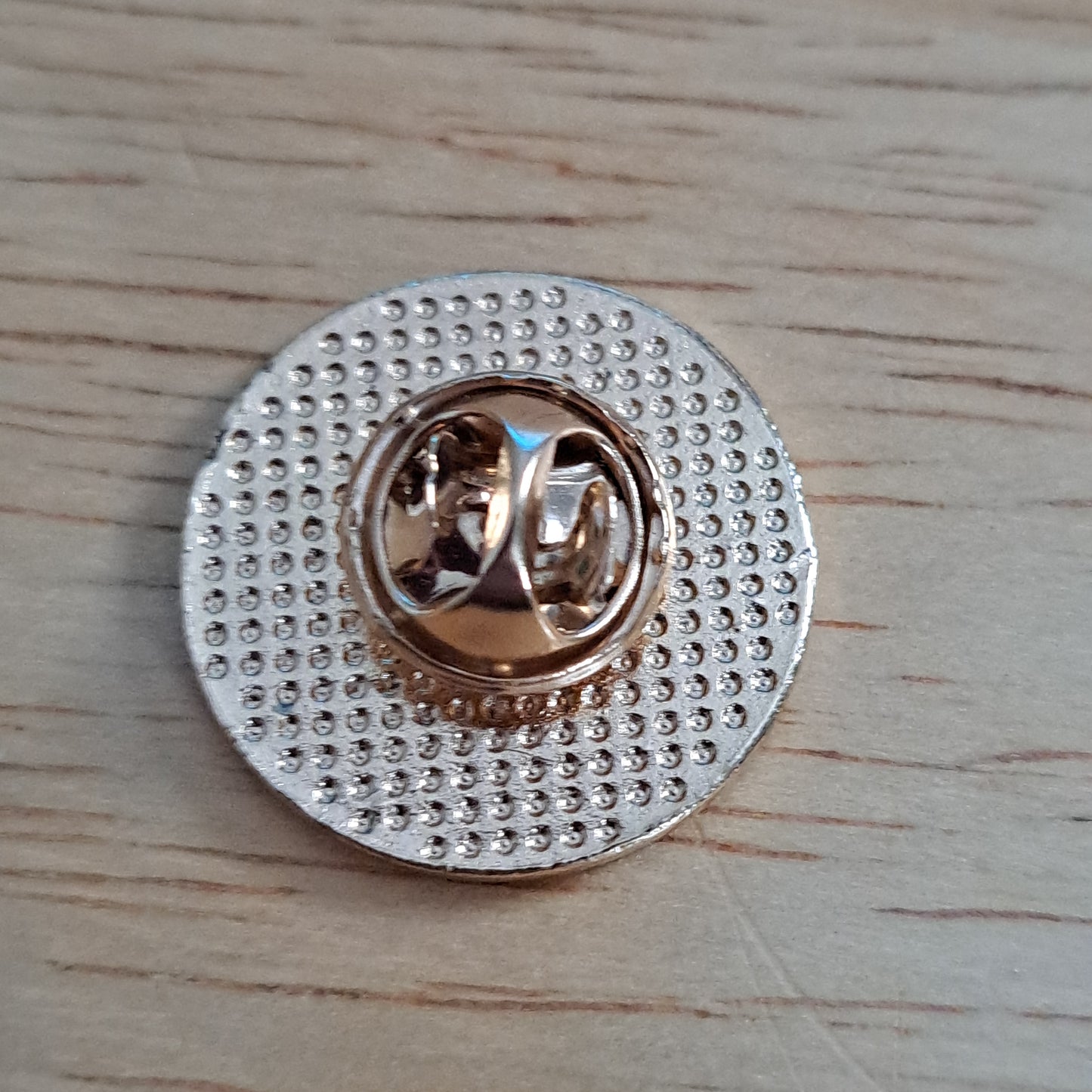 Capricorn Astrology Pin