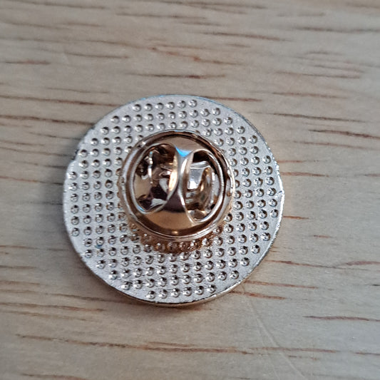 Capricorn Astrology Pin