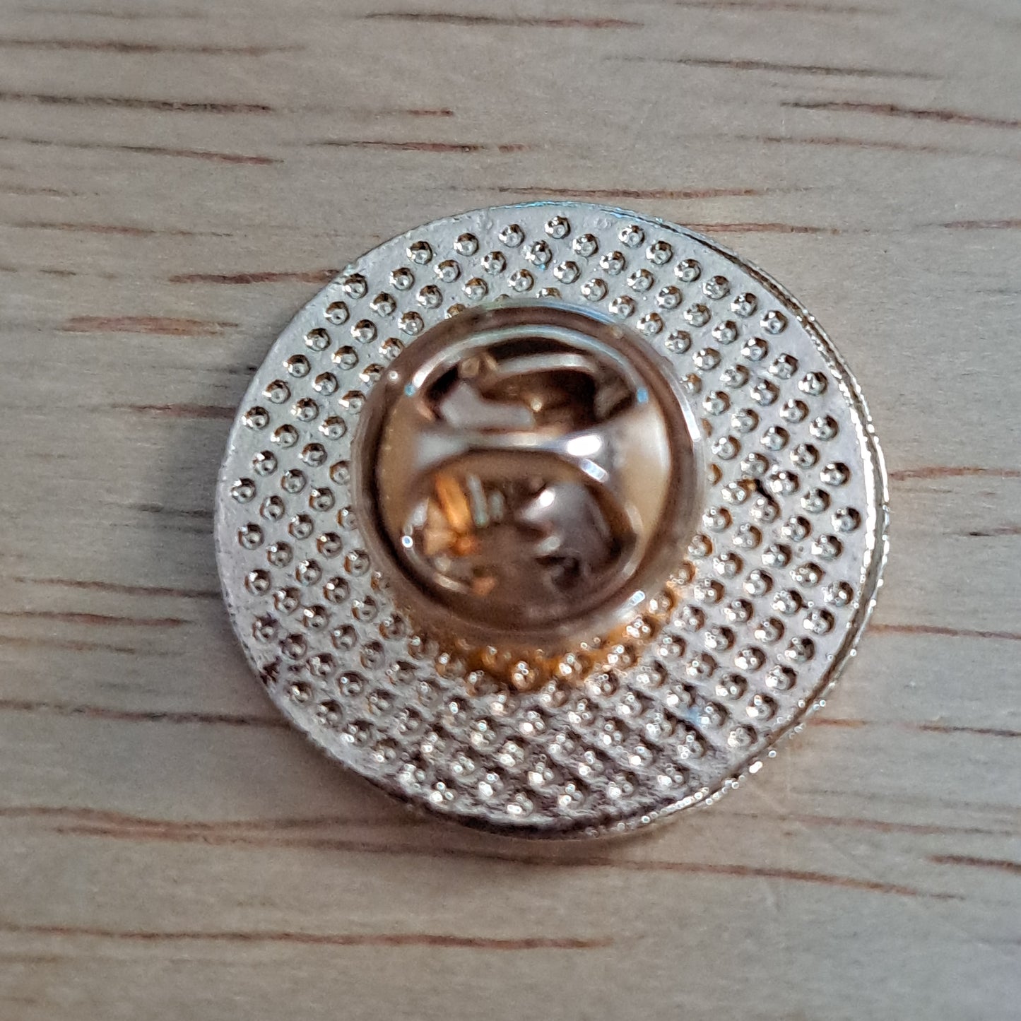 Aries Astrology Pin