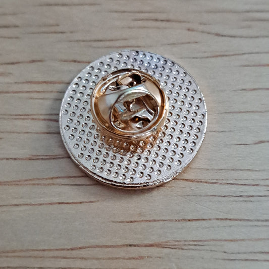 Scorpio Astrology Pin