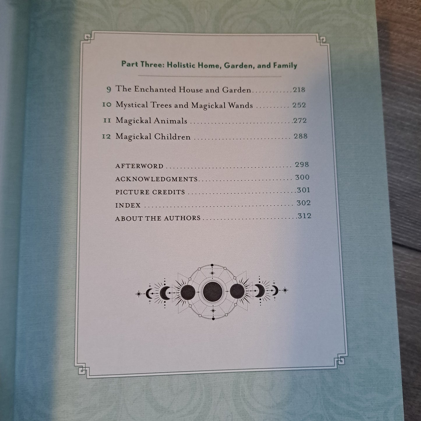 The Holistic Witch (The Modern-Day Witch, Bk. 10)
