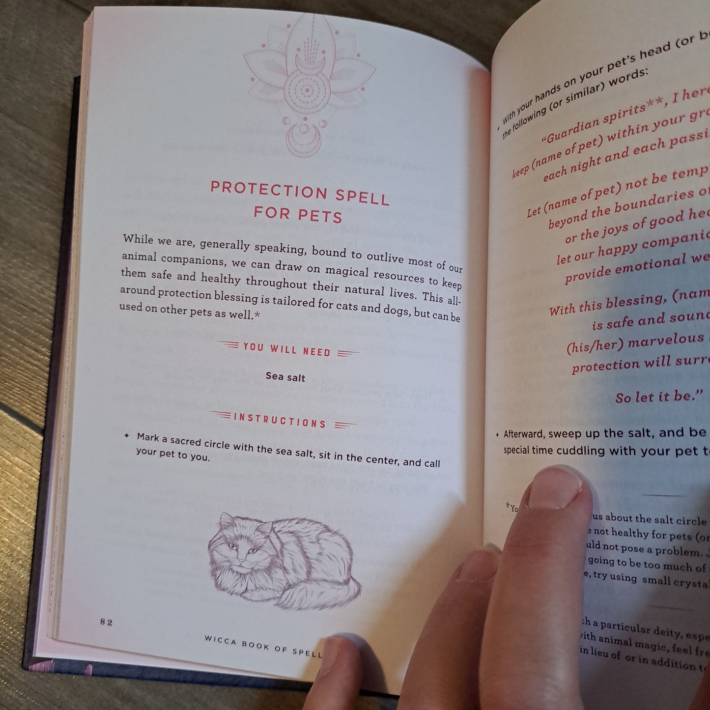 Wicca Book of Spells (The Mystic Library)