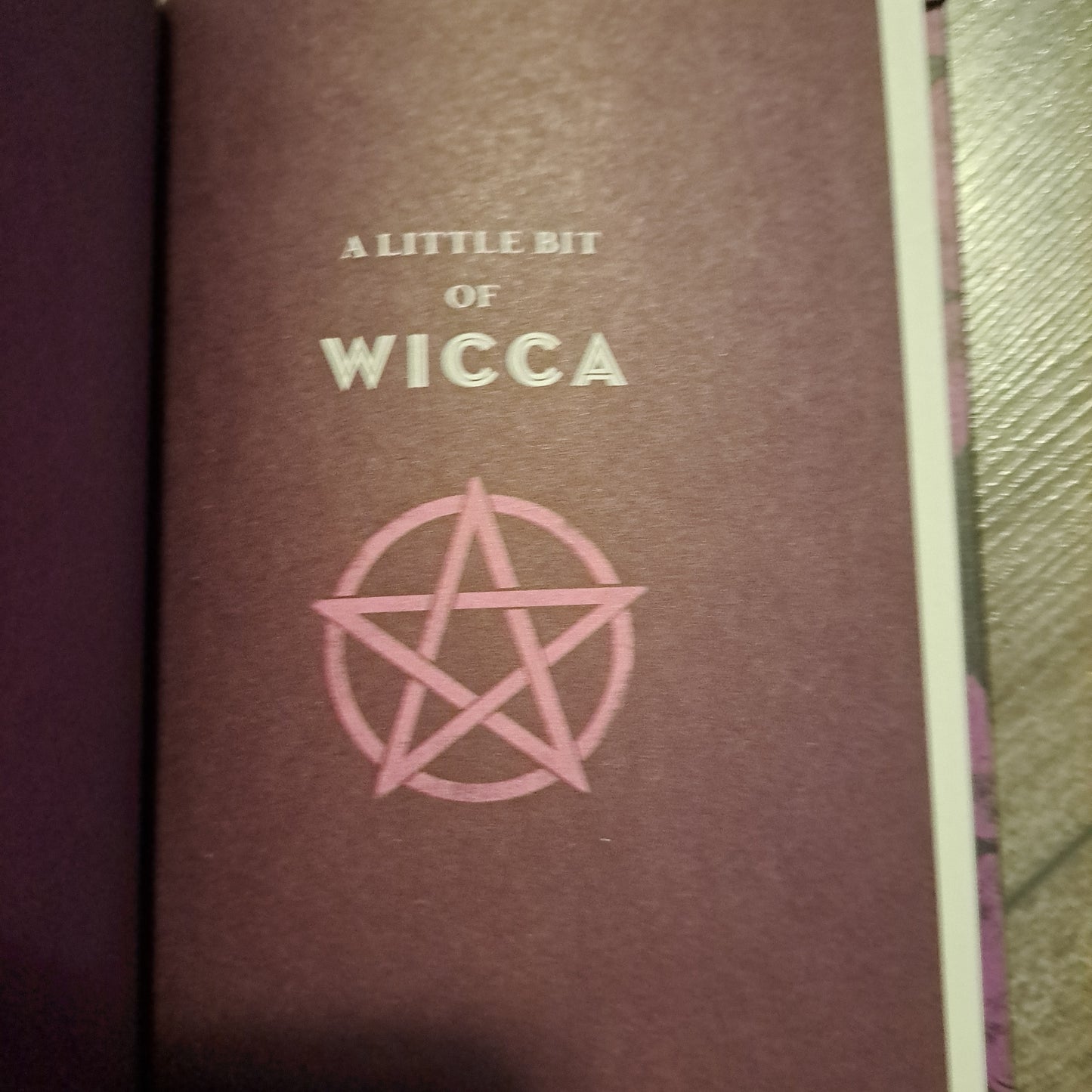 A Little Bit of Wicca: An Introduction to Witchcraft (Little Bit Series)