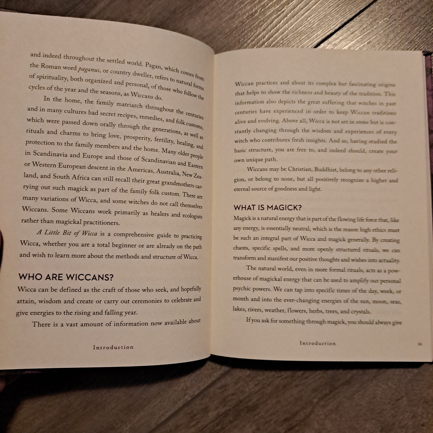 A Little Bit of Wicca: An Introduction to Witchcraft (Little Bit Series)