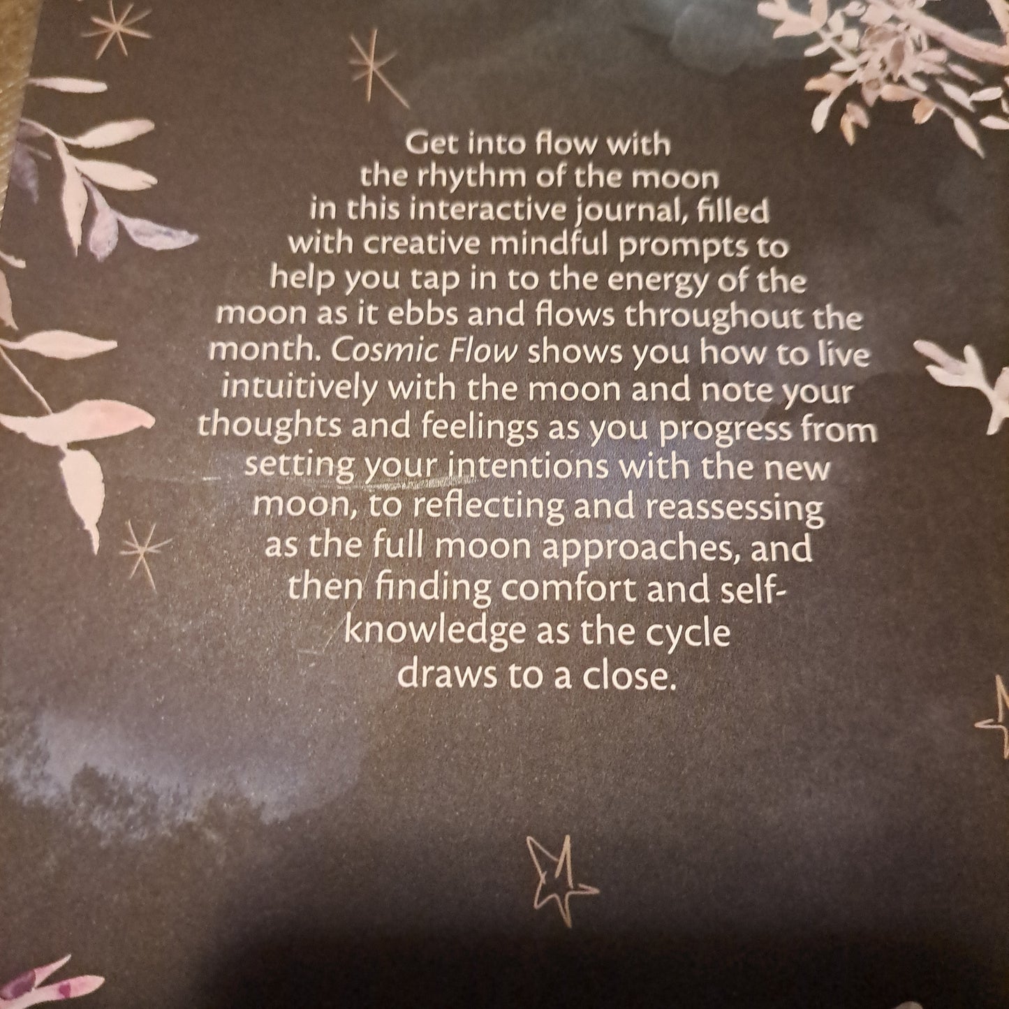 Cosmic Flow - Interactive Journal