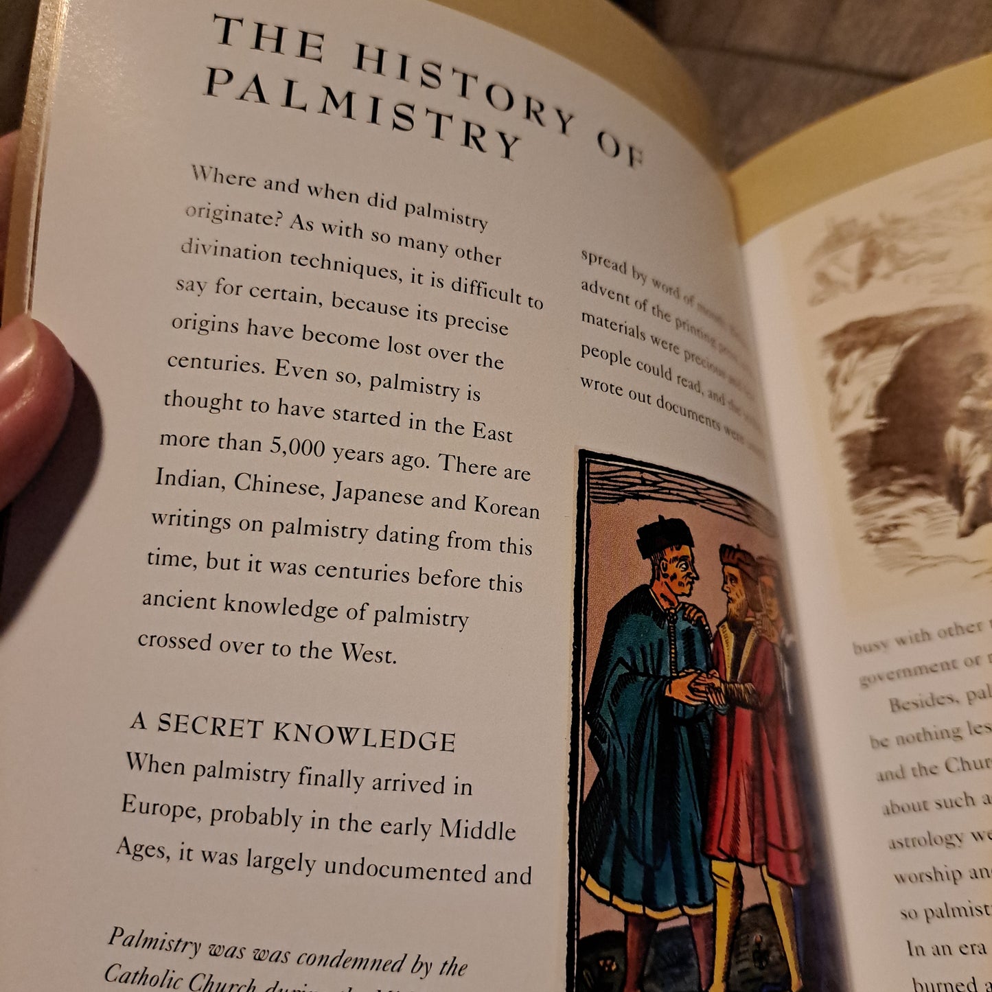 The Palmistry Bible: The Definitive Guide to Hand Reading