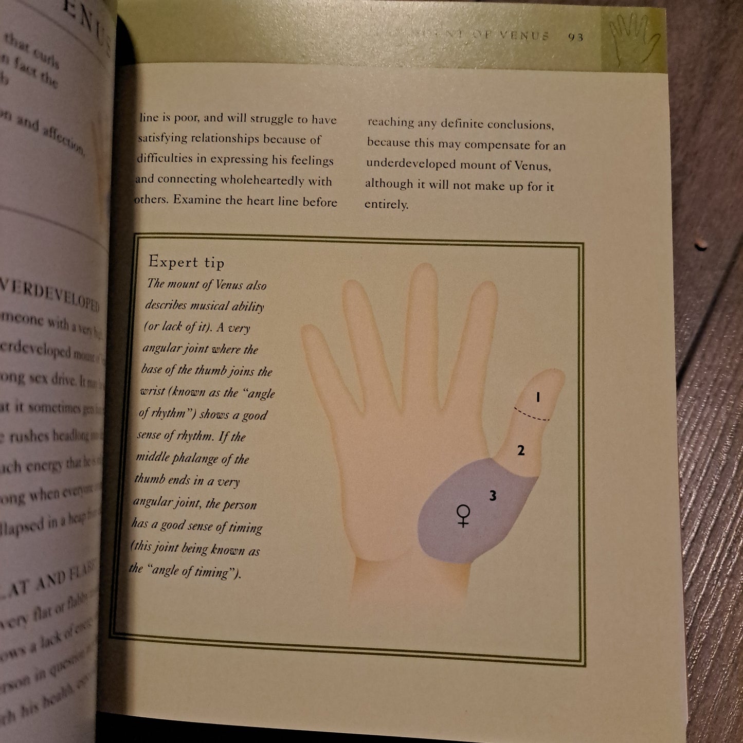 The Palmistry Bible: The Definitive Guide to Hand Reading
