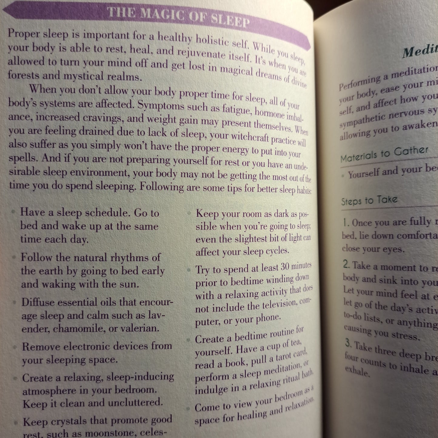 The Witch's Guide to Wellness