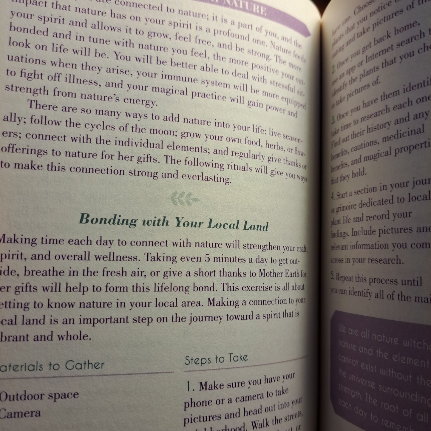 The Witch's Guide to Wellness