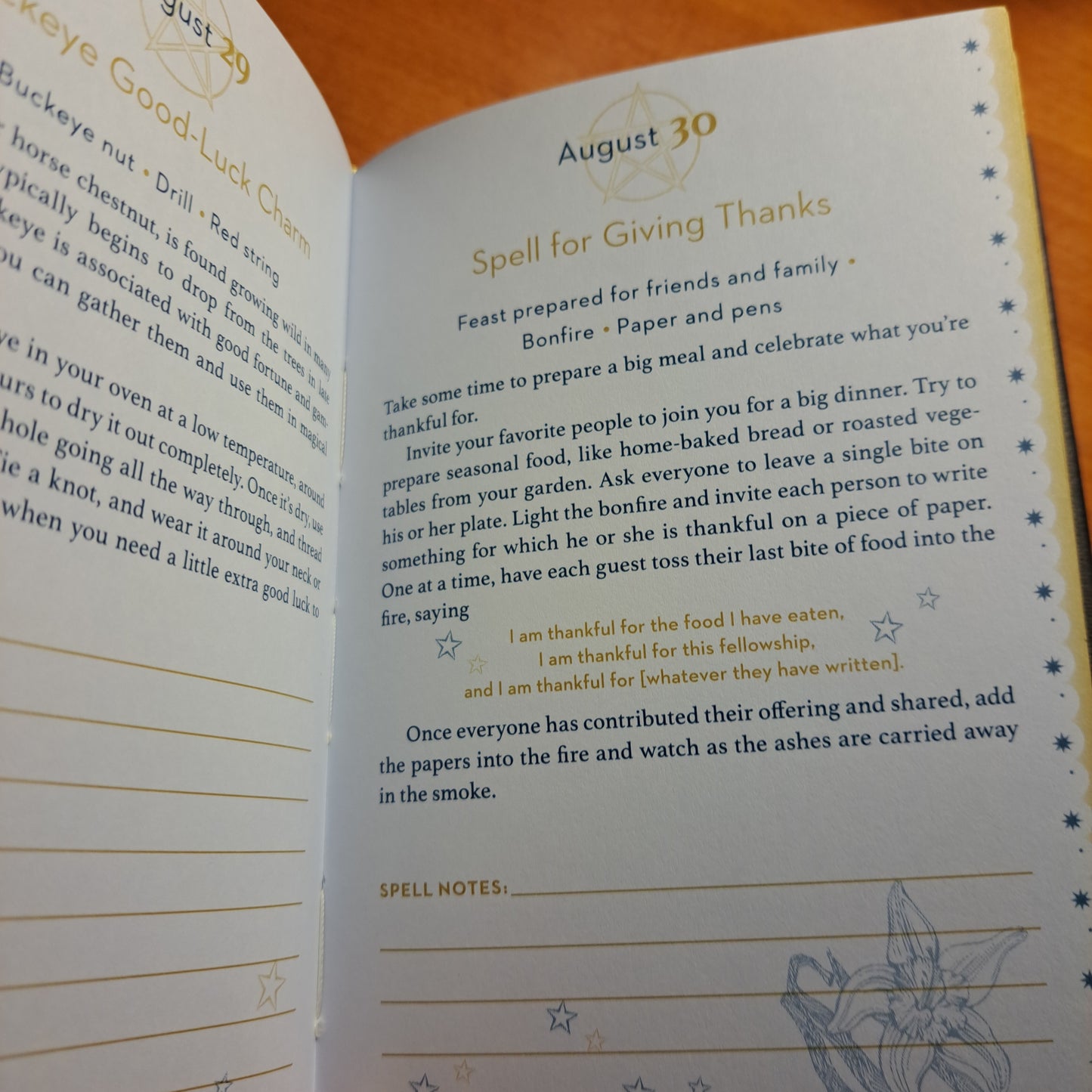 The Daily Spell Journal: A Diary of Enchantments for Every Day of the ...
