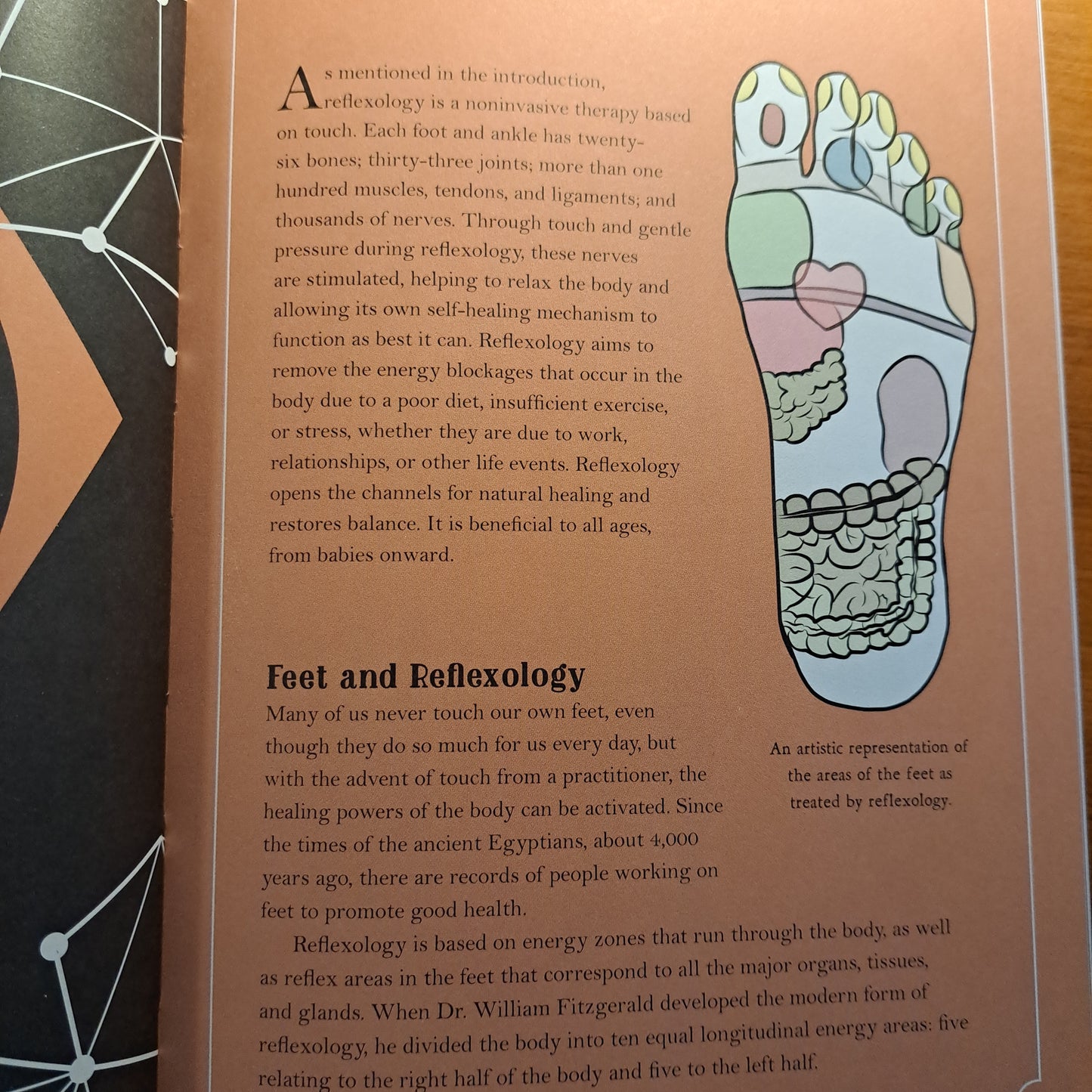 In Focus Reflexology: Your Personal Guide