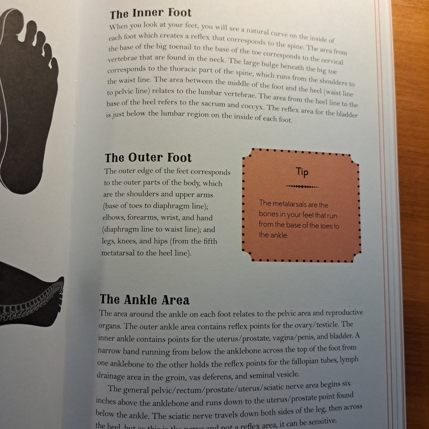 In Focus Reflexology: Your Personal Guide