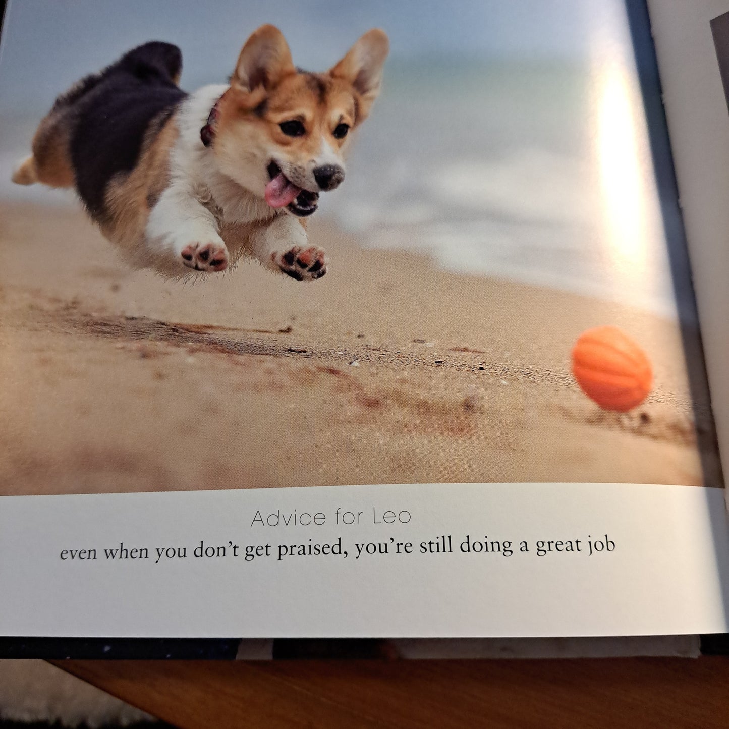 Dogstrology: Unlock the Secrets of the Stars with Dogs