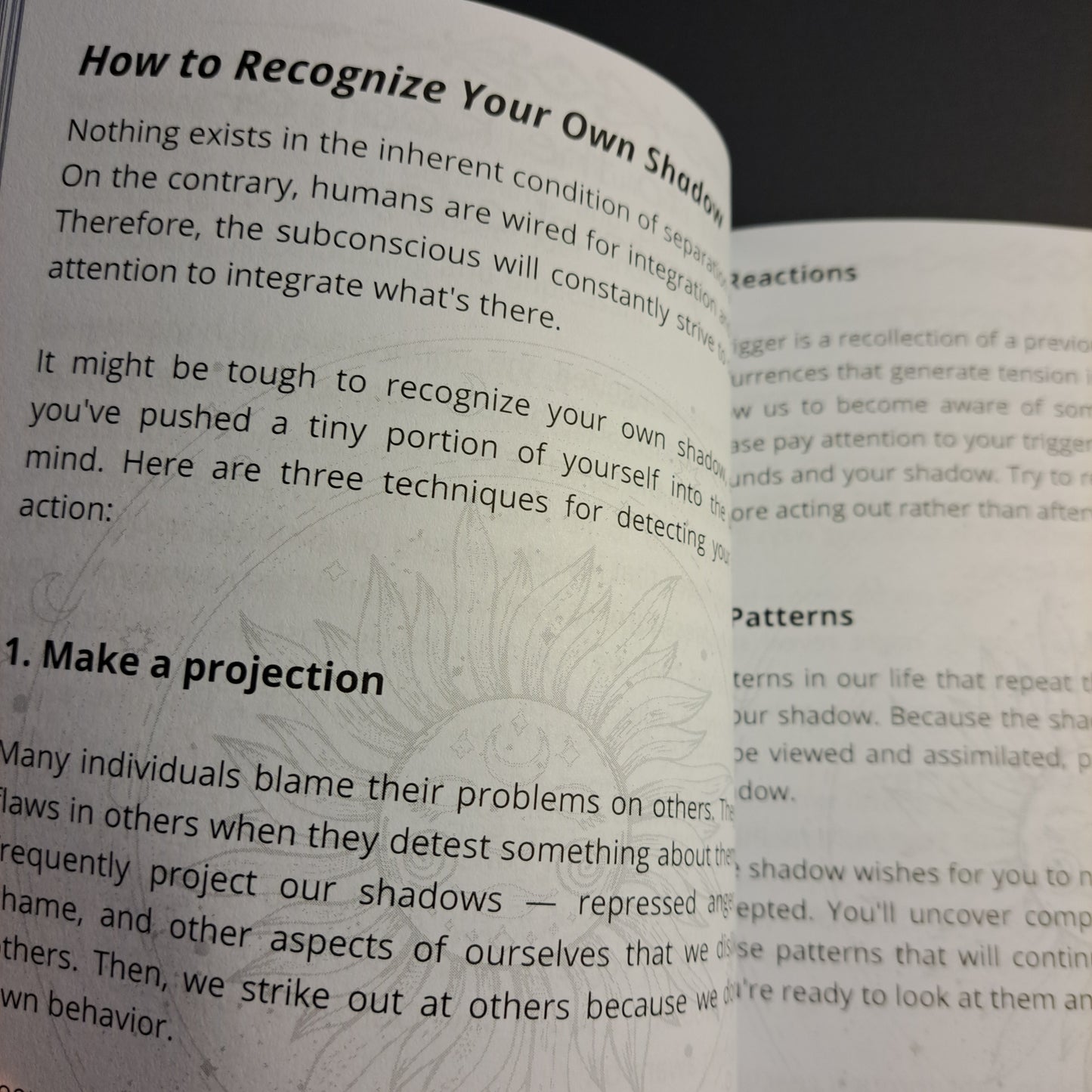 Shadow Work Journal and Workbook