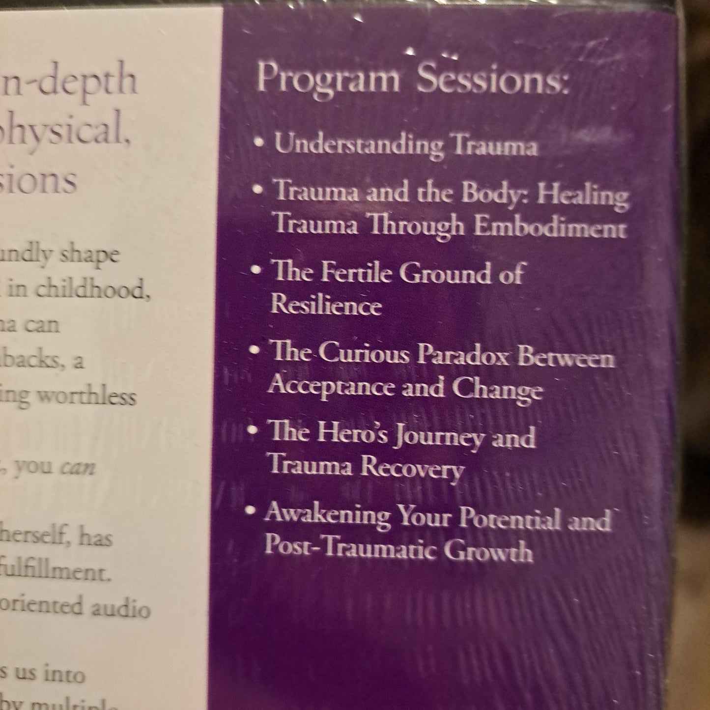 Trauma Recovery: A Mind-Body Approach to Becoming Whole (COMPACT DISK)