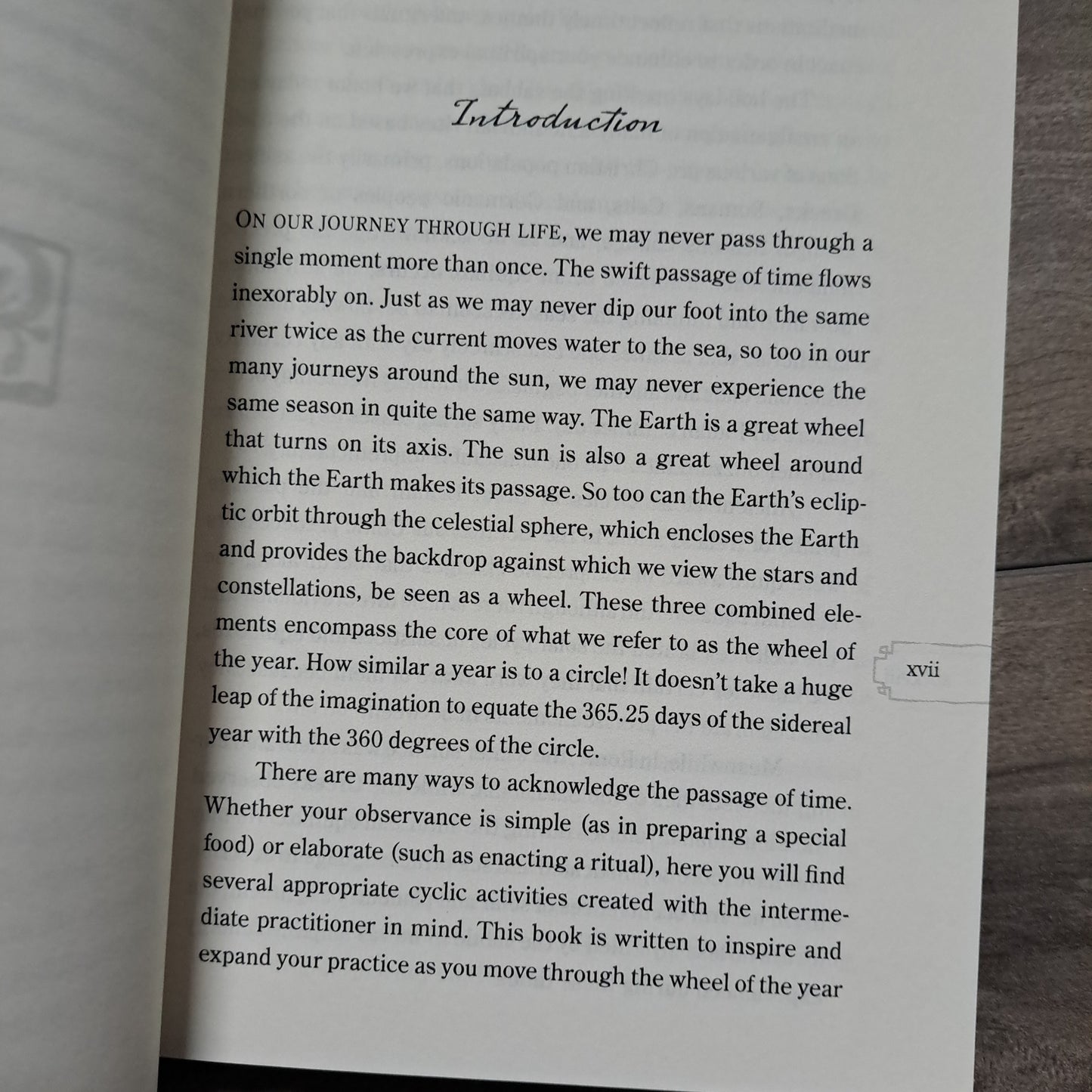 The Wiccan Year: Spells, Rituals, and Holiday Celebrations (The Provenance Press Guide To)