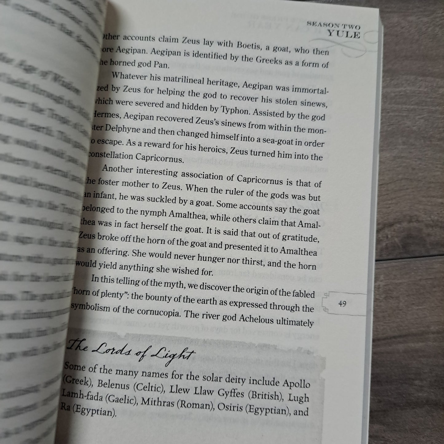 The Wiccan Year: Spells, Rituals, and Holiday Celebrations (The Provenance Press Guide To)