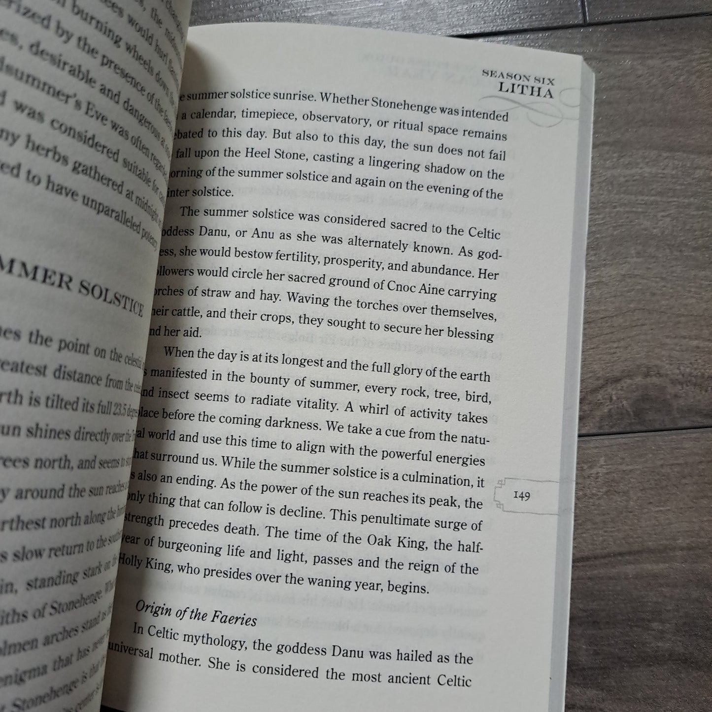 The Wiccan Year: Spells, Rituals, and Holiday Celebrations (The Provenance Press Guide To)