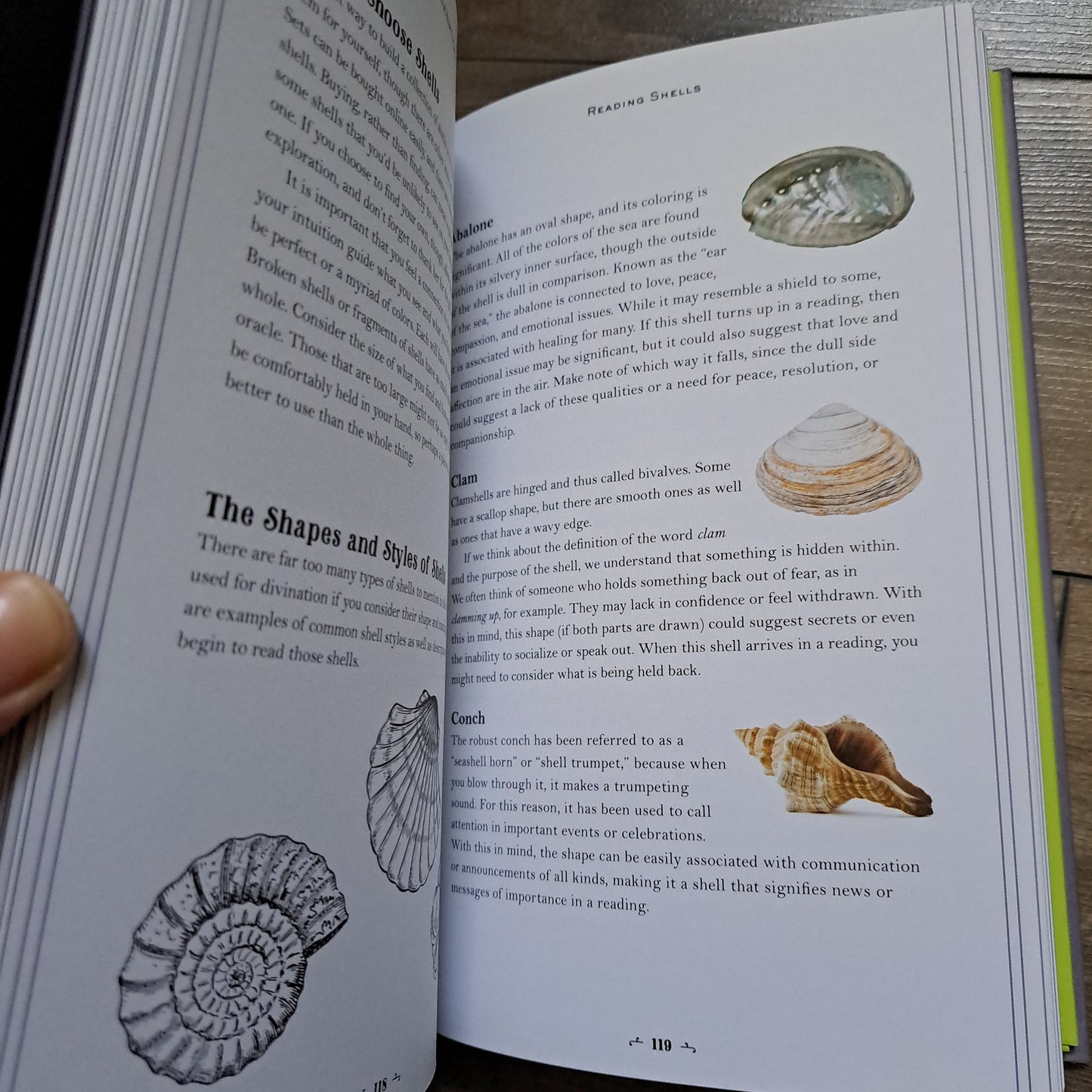 Divination: Your Personal Guide (In Focus)
