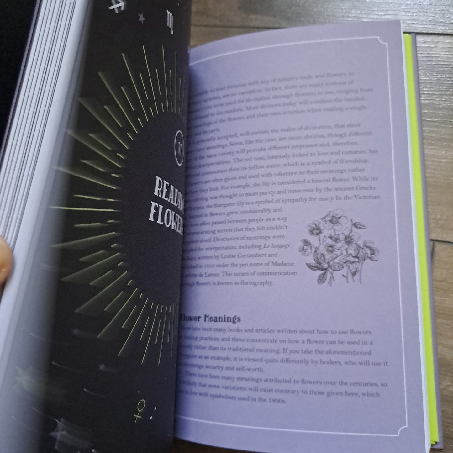 Divination: Your Personal Guide (In Focus)