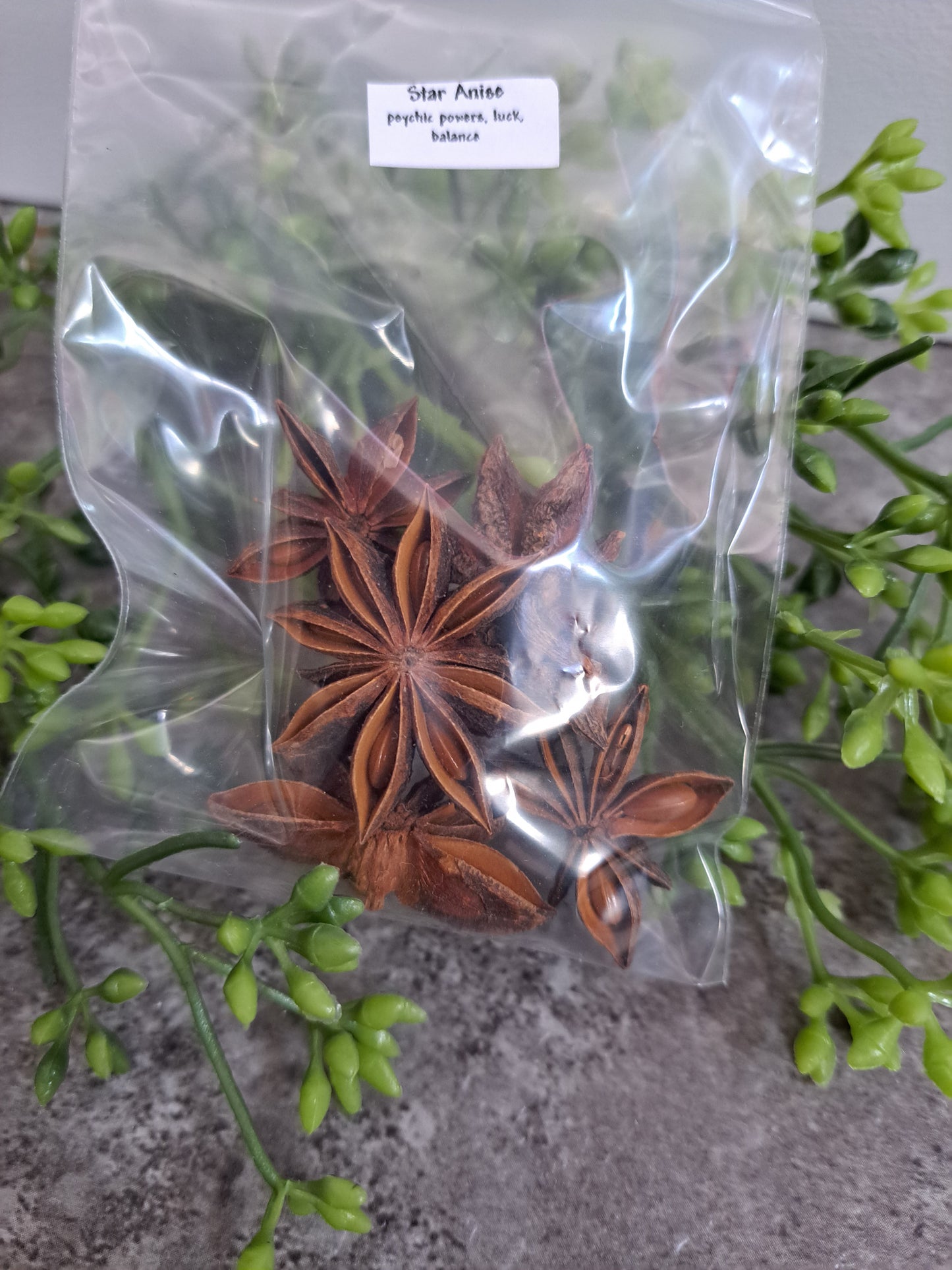 Star Anise - Magick Herbs (Bagged)